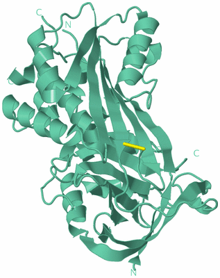 Image Biological Unit 12