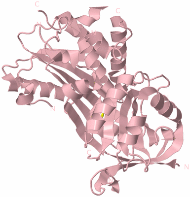 Image Biological Unit 3