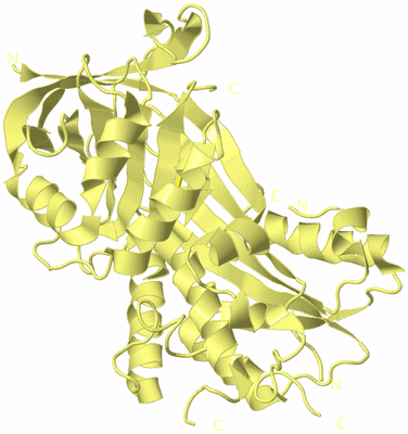 Image Biological Unit 4