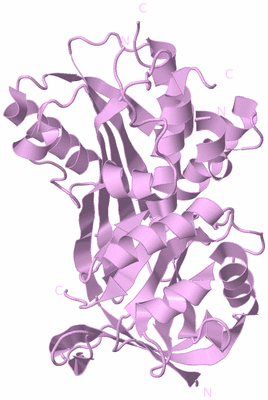 Image Biological Unit 5