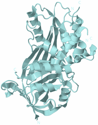 Image Biological Unit 6