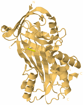 Image Biological Unit 7