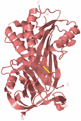Image Biological Unit 8