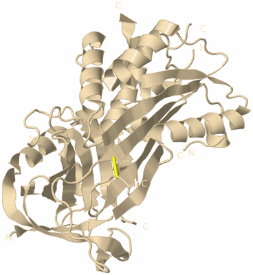 Image Biological Unit 9