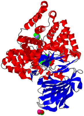 Image Asym./Biol. Unit