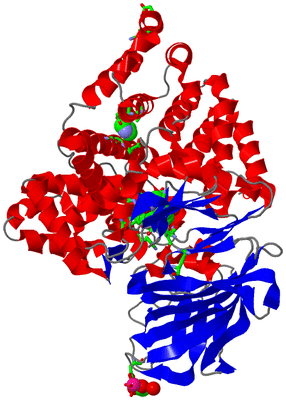 Image Asym./Biol. Unit - sites