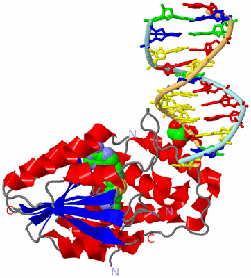 Image Asym./Biol. Unit