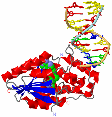 Image Asym./Biol. Unit