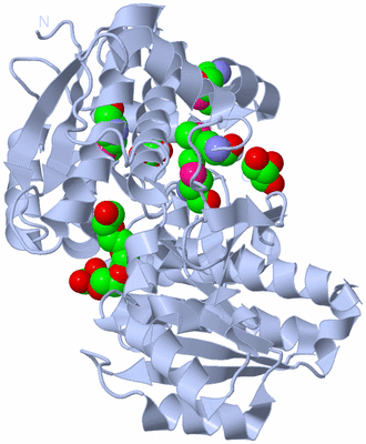 Image Biological Unit 1