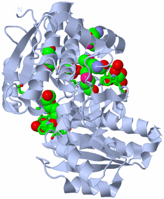 Image Biol. Unit 1 - sites