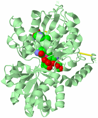 Image Biological Unit 2