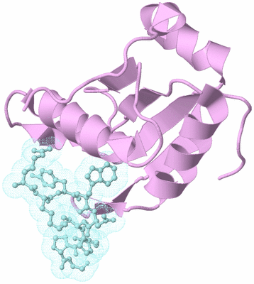 Image Biological Unit 3