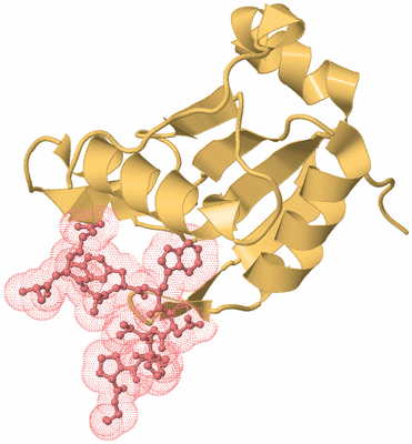 Image Biological Unit 4