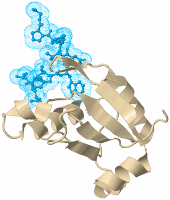 Image Biological Unit 5