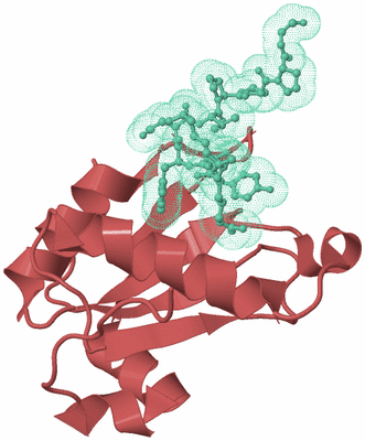 Image Biological Unit 6