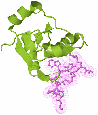 Image Biological Unit 7