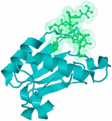 Image Biological Unit 8