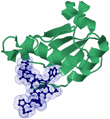 Image Biological Unit 9