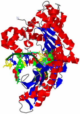 Image Asym./Biol. Unit