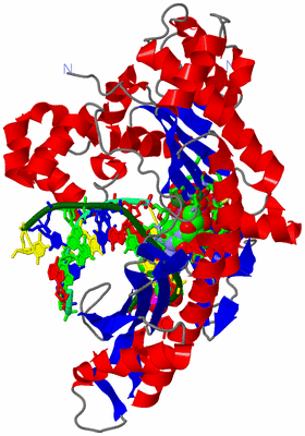 Image Asym./Biol. Unit - sites