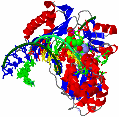 Image Asym./Biol. Unit - sites