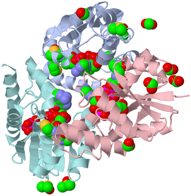 Image Biological Unit 1