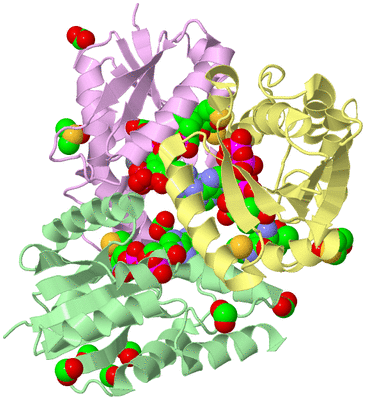 Image Biological Unit 2