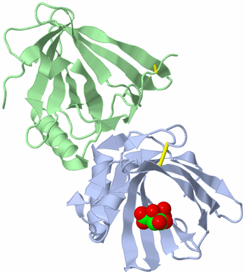 Image Biological Unit 3