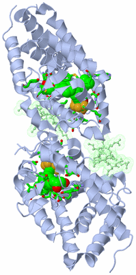 Image Biol. Unit 1 - sites