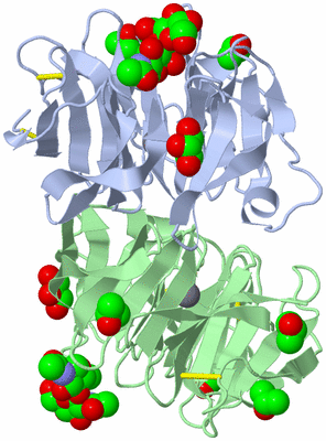 Image Asym./Biol. Unit