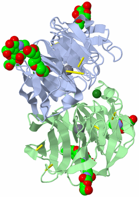 Image Biological Unit 1