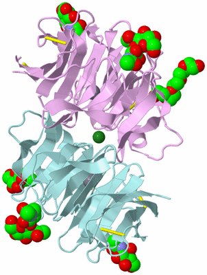 Image Biological Unit 3