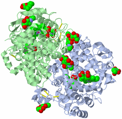 Image Biological Unit 1