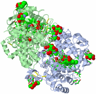 Image Biol. Unit 1 - sites