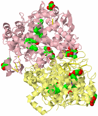 Image Biological Unit 2