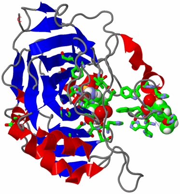 Image Asym./Biol. Unit - sites