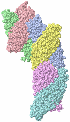 Image Asymmetric Unit