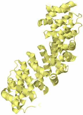 Image Biological Unit 4