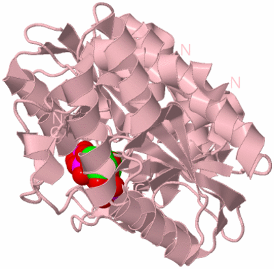 Image Biological Unit 2