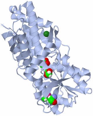 Image Biological Unit 1