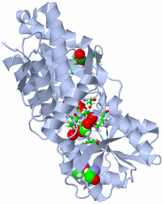 Image Biol. Unit 1 - sites