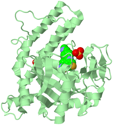 Image Biological Unit 2