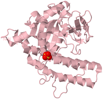 Image Biological Unit 3