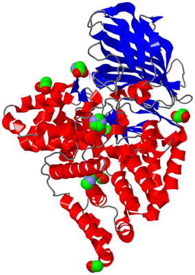 Image Asym./Biol. Unit