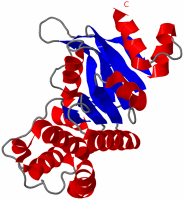 Image Asymmetric Unit