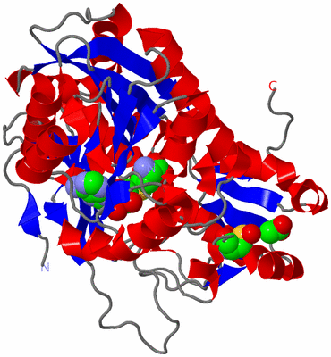 Image Asym./Biol. Unit