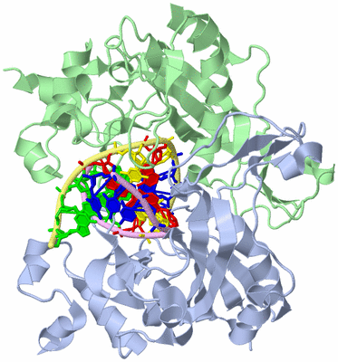 Image Biological Unit 1