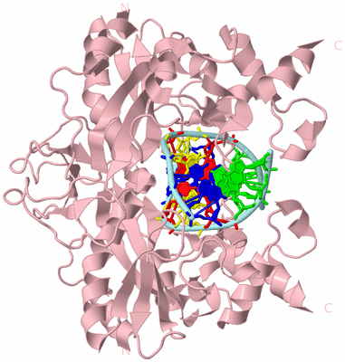 Image Biological Unit 2