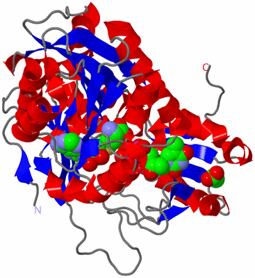 Image Asym./Biol. Unit