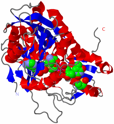 Image Asym./Biol. Unit